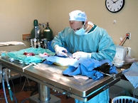 DiGangi Surgery